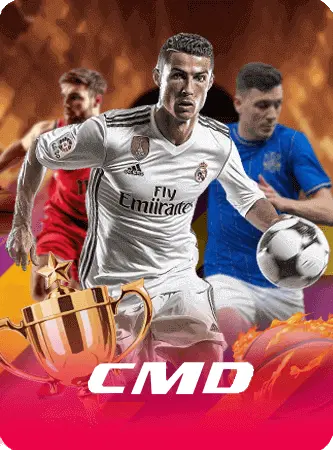 vendorlogo_202508181506415h6b